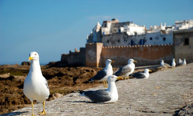 Sposoby na tanie podróżowanie