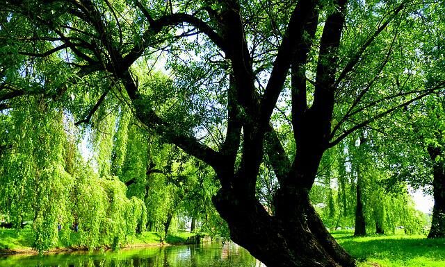 Augustów Turystycznie