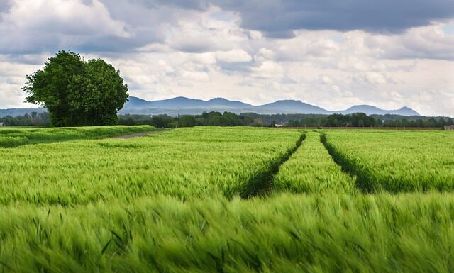 Jak chronić kolana w górach?