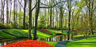 Co jest typowo polskie?