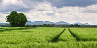 Jak przygotować kolana do chodzenia po górach?
