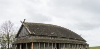 Jak wygląda prawdziwy wiking?