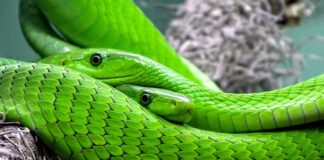 Jaka najlepsza skala mapy?