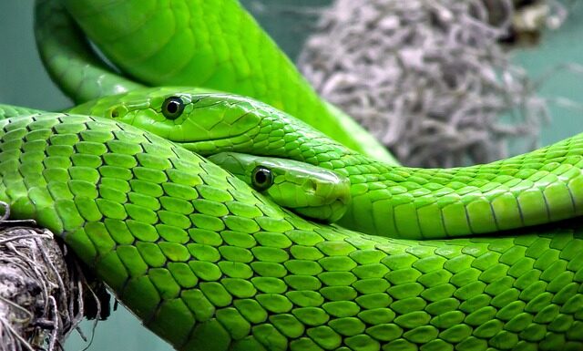 Jaka najlepsza skala mapy? Jaka najlepsza skala mapy?