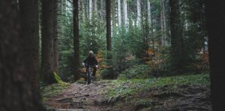 Jak zachowywać się na szlaku?