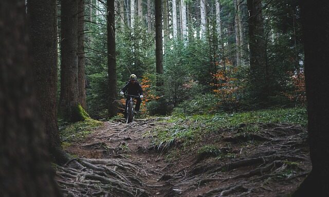 Jak zachowywać się na szlaku? Jak zachowywać się na szlaku?