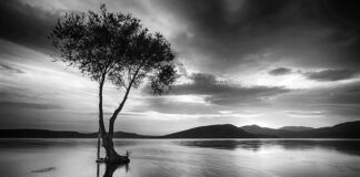 Co oznacza GB na rejestracji?