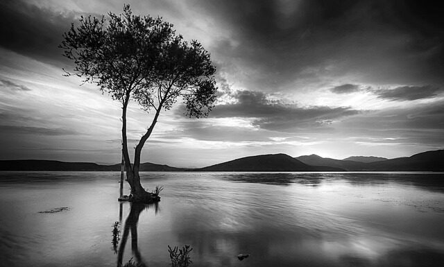 Co oznacza GB na rejestracji?