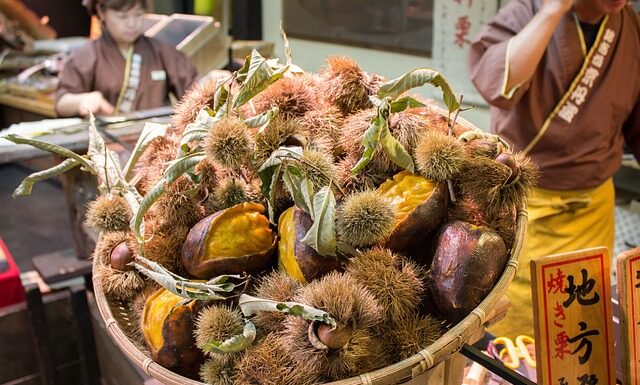 Czy da się dojechać autem do Anglii?