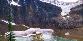 Ile kosztuje ocieplenie domu w UK?