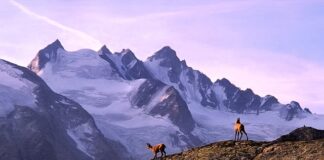 Ile km dziennie trekking?