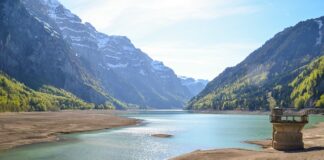 Jaki tytuł przelewu żeby nie płacić podatku?