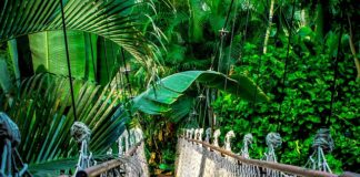 Jaka waluta ma najgorszy kurs?