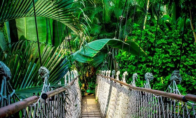 Jaka waluta ma najgorszy kurs?