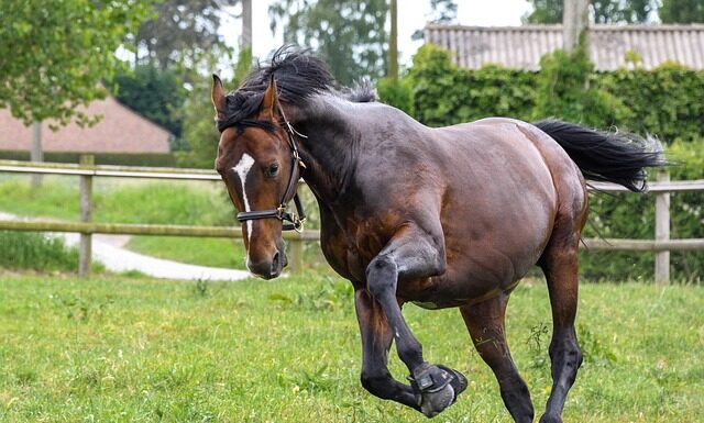 Jak biegać po tartanie? Jak biegać po tartanie?