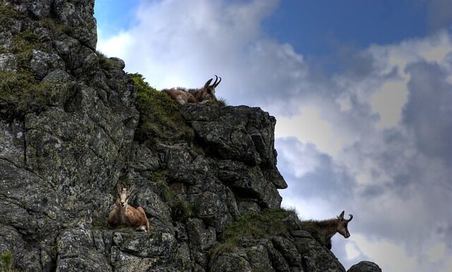 Kiedy najlepiej iść na Czerwone Wierchy?
