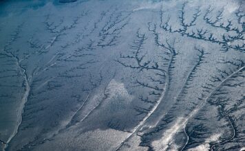 Komu należy dać napiwek? Komu należy dać napiwek?