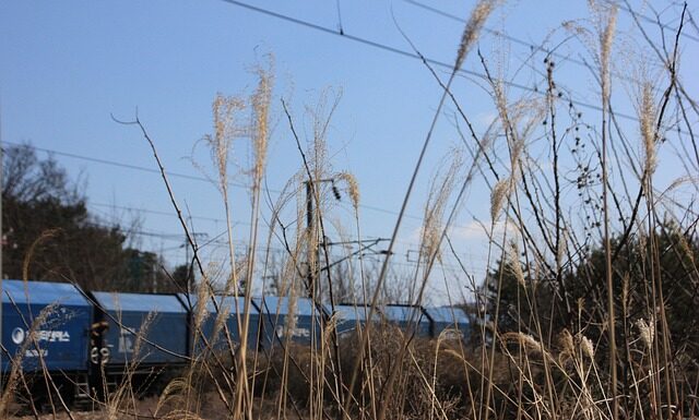 Jak długo mogę jeździć polskim autem w UK? Jak długo mogę jeździć polskim autem w UK?