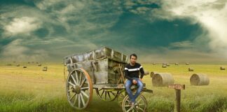 Ile jest w Polsce kolei?