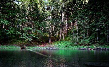 Ile osób zginęło na Babiej Górze?