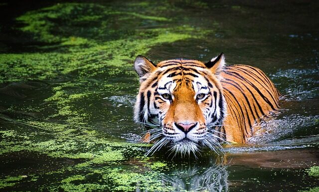Gdzie jest niebezpiecznie w Europie?