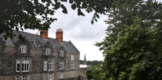 Czego nie ma w Irlandii?