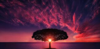 Jak nazywa się morze w Szkocji?