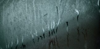 Skąd się bierze wilgoć na oknach?