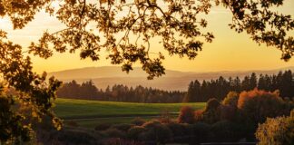 Czy można się opalać bez stanika?