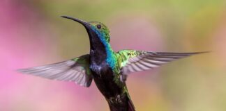 Jak długo leci się z Katowic na Djerbę?