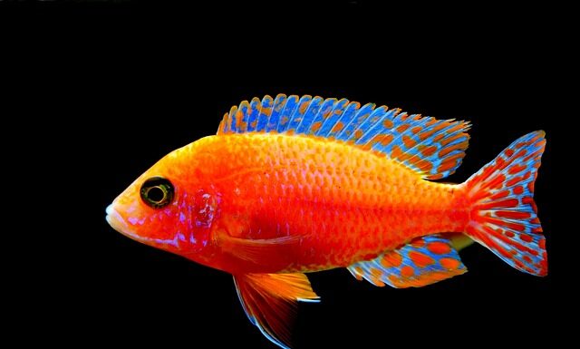 Czy wejście na karb jest trudne?