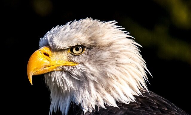 Ile czasu zajmuje przejście Orlej Perci?