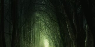 Co oznacza zielony listek na szlaku?