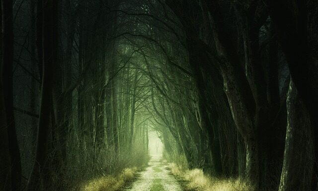 Co oznacza zielony listek na szlaku?