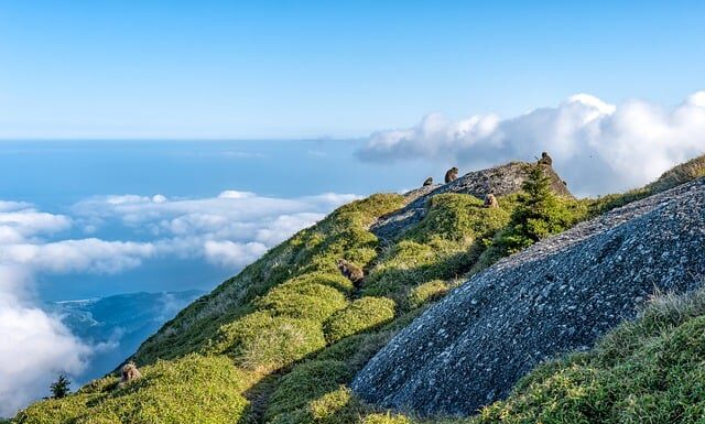 Czy w Polsce można kupić kartę SIM Turecka?