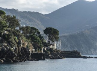 Ile kosztuje 1 funt szkocki? Ile kosztuje 1 funt szkocki?