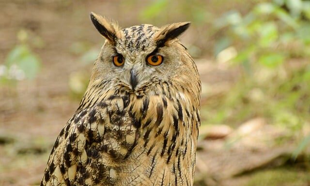 Co na zemstę Faraona w Turcji?