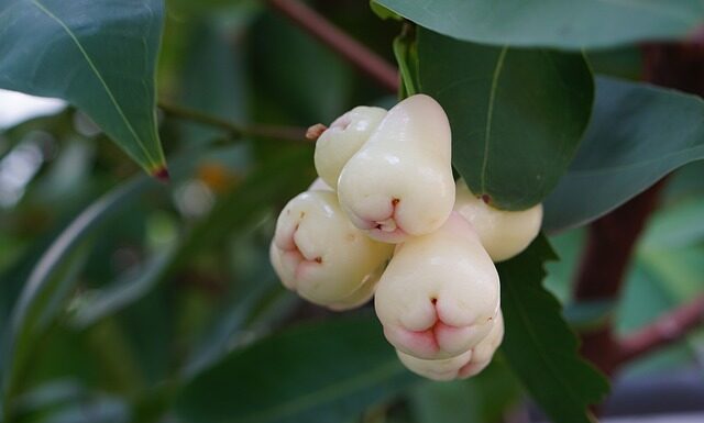 Dlaczego w Wielkiej Brytanii jeździ się po lewej stronie? Dlaczego w Wielkiej Brytanii jeździ się po lewej stronie?