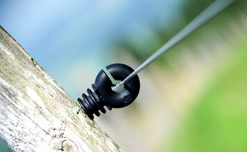 W jakim kraju mieszka najwięcej Polaków? W jakim kraju mieszka najwięcej Polaków?