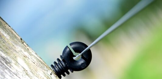 W jakim kraju mieszka najwięcej Polaków?