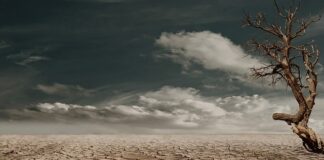 Czy można kupić ziemię w Wielkiej Brytanii?