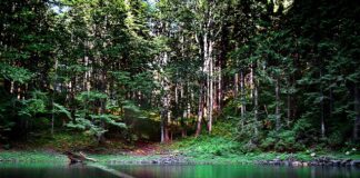 Co widać z Babiej Góry?