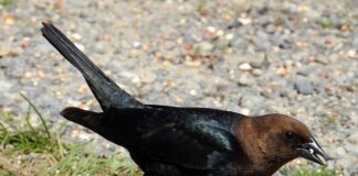 Jak się nazywa najgorszy kraj na świecie?