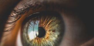 Jak długo idzie się na Morskie Oko?