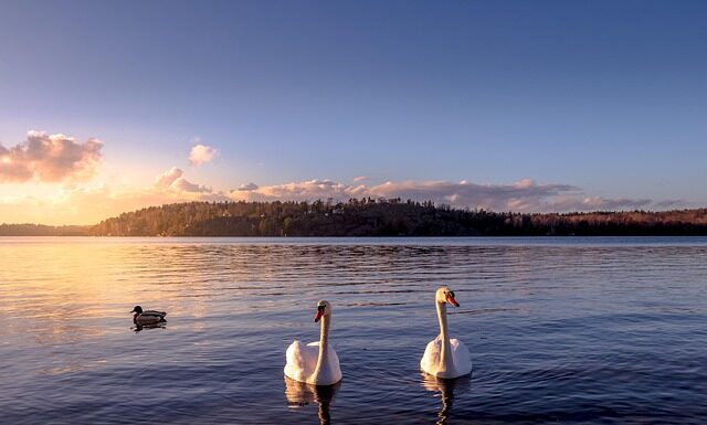 Czy w Szwecji woda jest za darmo?