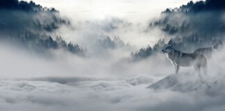 Jaka jest zima w Anglii?