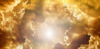 Jaka jest najbardziej stabilna waluta?