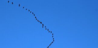 Kiedy najlepiej lecieć do Szkocji?