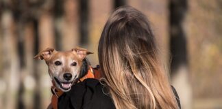 Czy brać uprząż na Orla Perć?