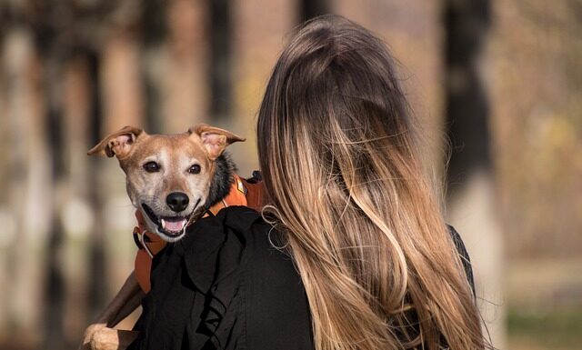 Czy brać uprząż na Orla Perć?